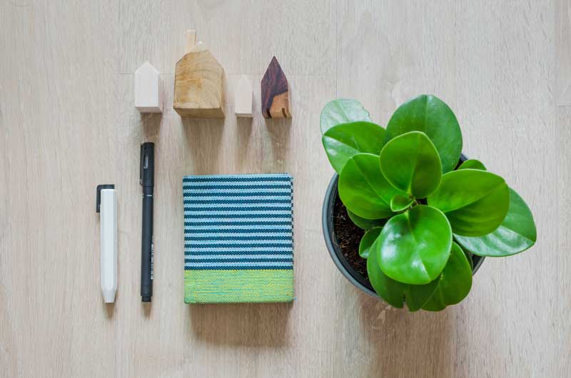 3 Must-Have Home Organization Tools!