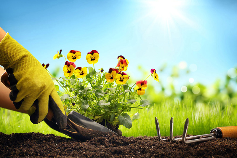 Upgrade Your Backyard This Summer!