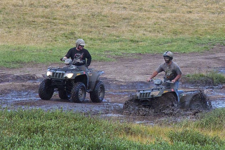 Local experts in ATV insurance coverage